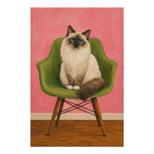 Póster Gato Ragdoll Silla Verde De Estilo De Mitad De Sig