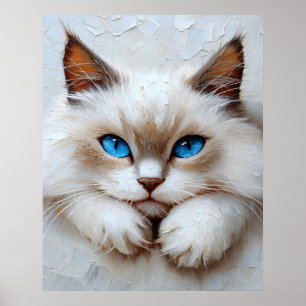 Póster Gato Ragdoll Suave – Composición Pastel Pictórica