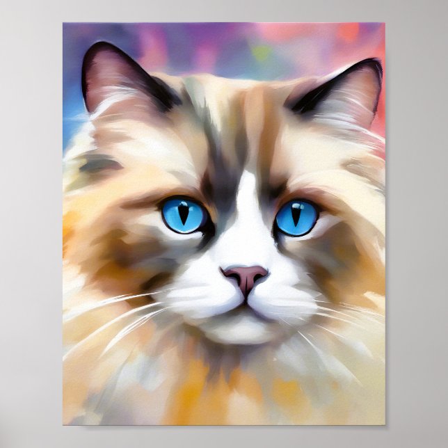 Póster Gato Ragdoll Tranquilo (Frente)