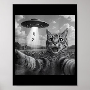 Póster Gato Retro de Selfie de Meme Divertido Seis Siete 