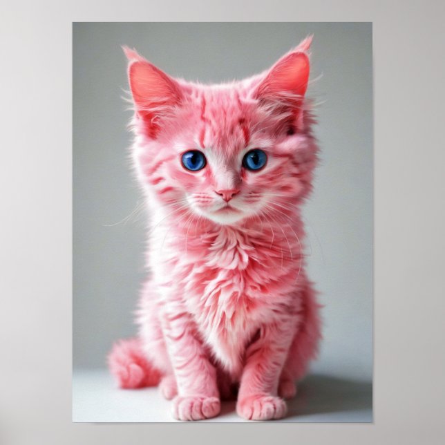 Póster Gato rosa (Frente)