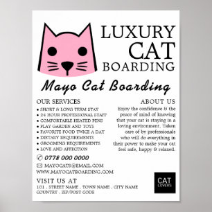 Póster Gato rosado, abordaje para gatos, publicidad de ca