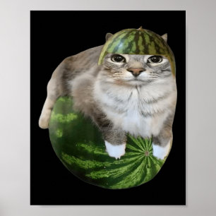 Póster Gato Sandía Meme Divertido 