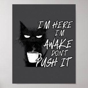 Póster Gato Sarcástico Gato Divertido Estoy Aquí Estoy De