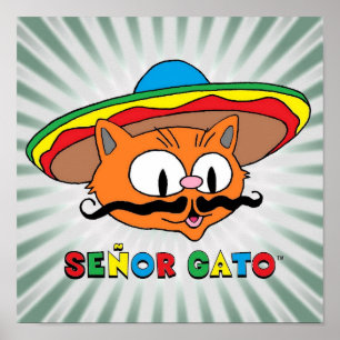 Póster Gato Señor Gato de Dibujos Animados Bigote