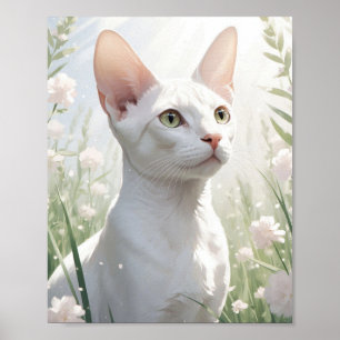 Póster Gato Sfinx Blanco y Flores