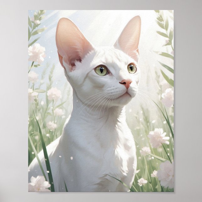 Póster Gato Sfinx Blanco y Flores (Frente)