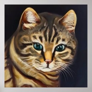 Póster Gato Shorthair americano