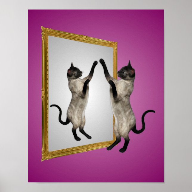 Póster Gato Siamés En Un Animal Espejo (Frente)