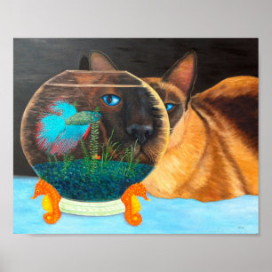 Póster Gato siamés y peces Betta