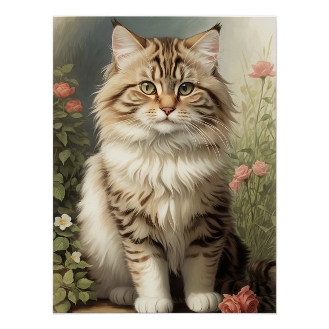 Póster Gato siberiano (Anverso)
