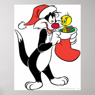 Póster Gato Silvestre con Media
