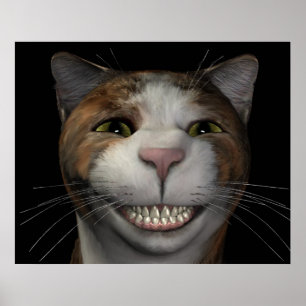 Póster Gato sonriente