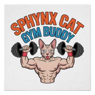 Póster Gato Sphynx Compañero de Gimnasio Arte de Dibujos 