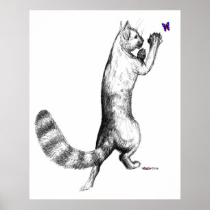 Póster Gato Springs