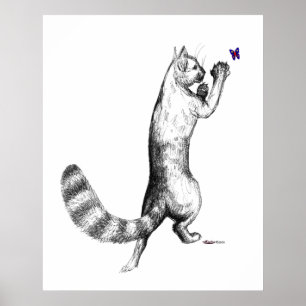 Póster Gato Springs