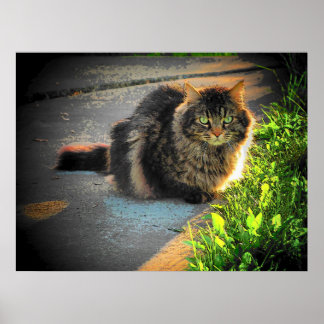 Póster Gato Sunny y Grumpy Angel Frío por djoneill