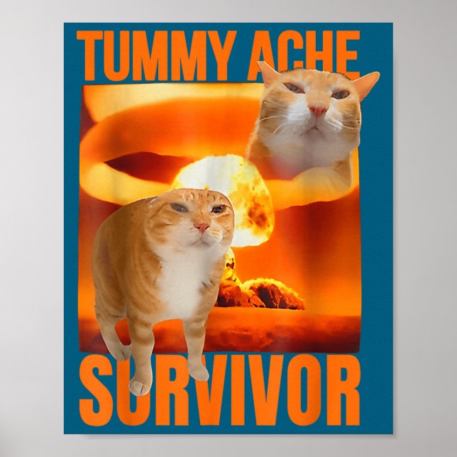 Póster Gato Superviviente de Dolor de Barriga Meme Dicho  (Frente)