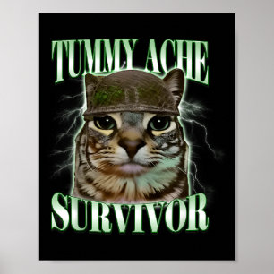 Póster Gato Superviviente de Dolor de Barriga Meme Humor