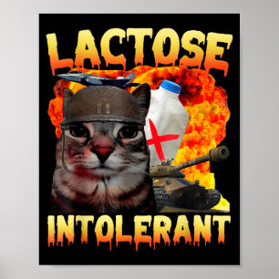 Póster Gato Tonto Intolerante a la Lactosa Meme Dicho Div