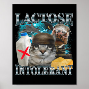 Póster Gato Tonto Intolerante a la Lactosa Meme Dicho Div