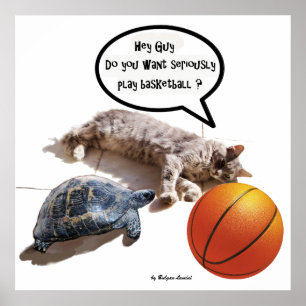 PÓSTER GATO, TORTUGA Y BALONCESTO