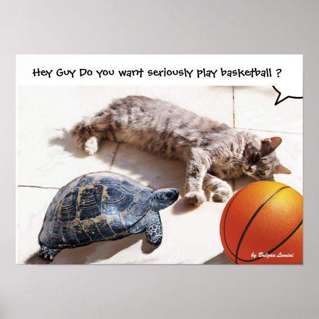 PÓSTER GATO, TORTUGA Y BALONCESTO (Frente)