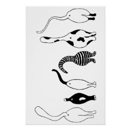 Póster Gato trasero