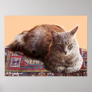 PÓSTER GATO TURCO EN LA ALFOMBRA VIEJA