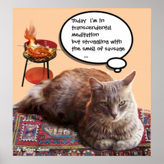 PÓSTER GATO TURCO EN MEDITACIÓN TRANSCENDENTAL