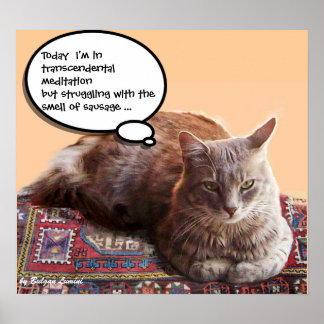 PÓSTER GATO TURCO EN MEDITACIÓN TRANSCENDENTAL