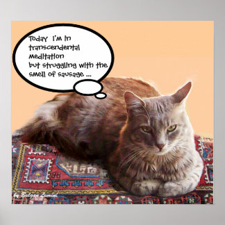 PÓSTER GATO TURCO EN MEDITACIÓN TRANSCENDENTAL