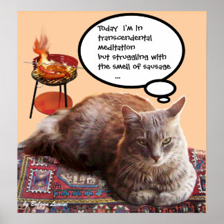 PÓSTER GATO TURCO EN MEDITACIÓN TRANSCENDENTAL