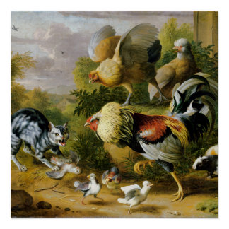Póster Gato valiente vintage entre gallos
