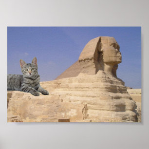 Póster Gato y Esfinge.