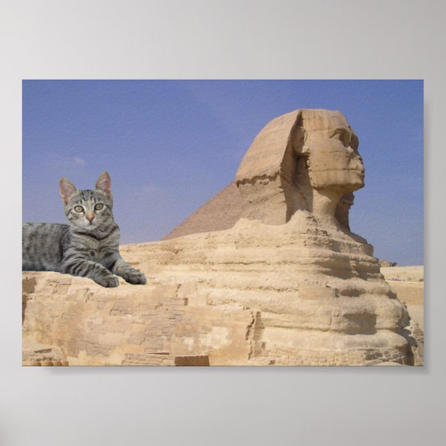 Póster Gato y Esfinge. (Frente)