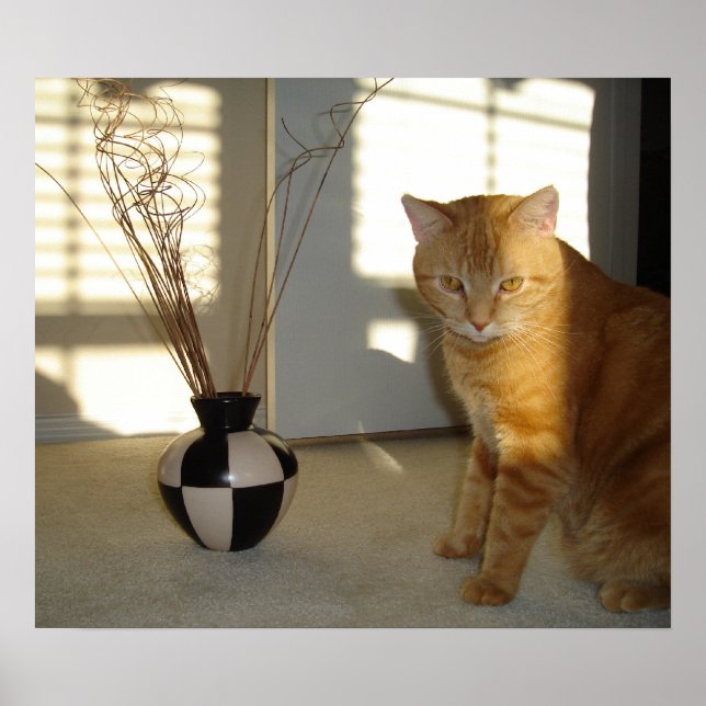 Póster gato y jarrón a cuadros (Frente)