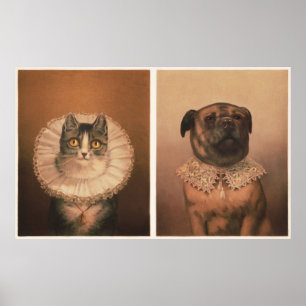 Póster Gato y Perro