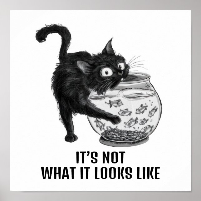 Póster Gato y pescado (Frente)