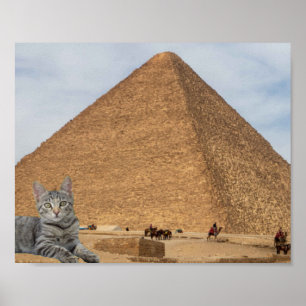 Póster Gato y Pirámide.