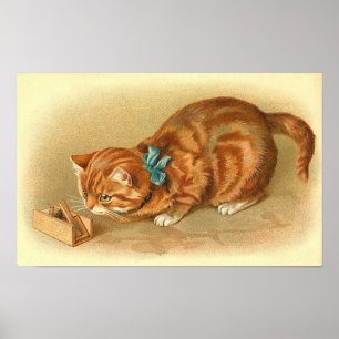 Póster "Gato y ratón"