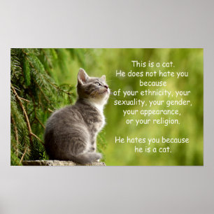 Póster Gatos