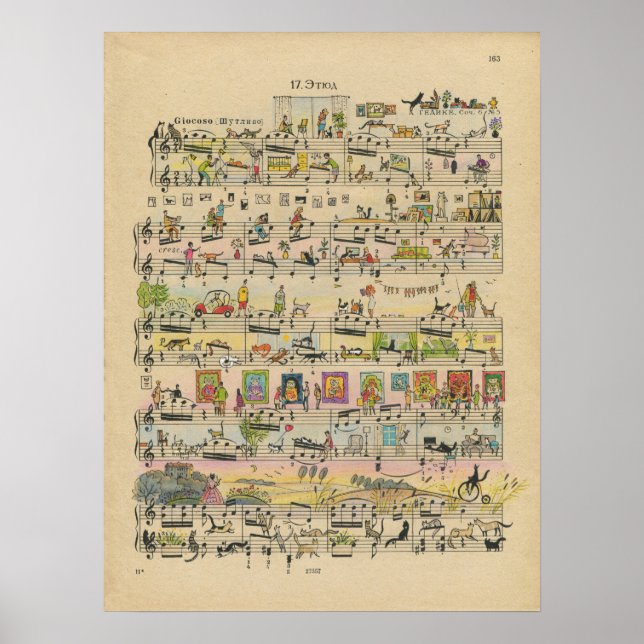 Póster Gatos (Frente)