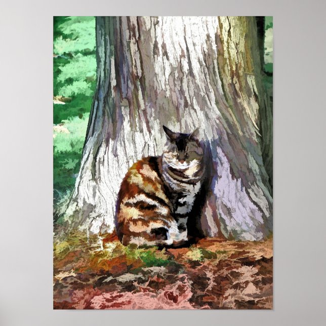 PÓSTER GATOS (Frente)