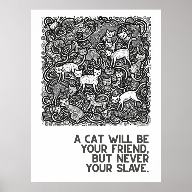 Póster Gatos atestados - proverbios (Frente)
