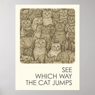 Póster Gatos atestados - proverbios