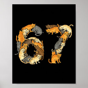 Póster Gatos atigrados divertidos 6 7 Meme Seis Siete Ama