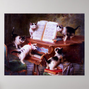 Póster Gatos Blancos Y Negros Kitten