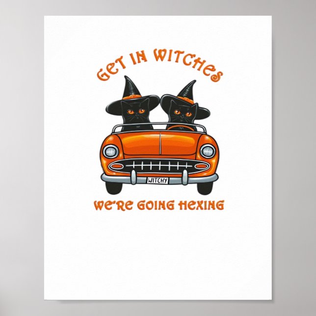 Póster Gatos Brujeros que van molestando la camiseta sobr (Frente)