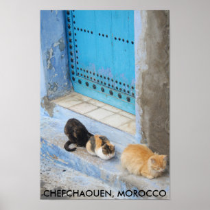 Póster Gatos, Chefchaouen, Marruecos